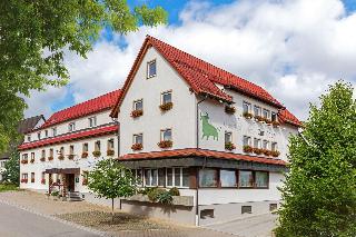 Gasthof Hotel Zum Ochsen fotoÄŸrafÄ±
