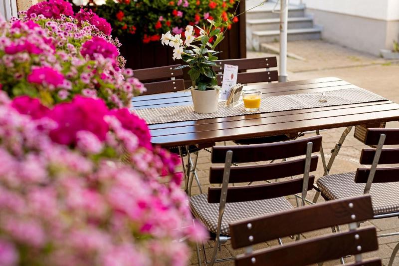 Gasthof Hotel Zum Ochsen - Teras