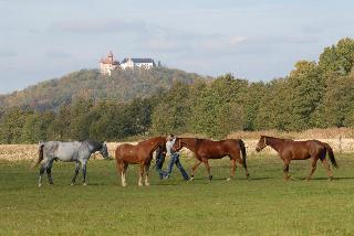 Land- und Aktivhotel Altmühlaue fotoÄŸrafÄ±