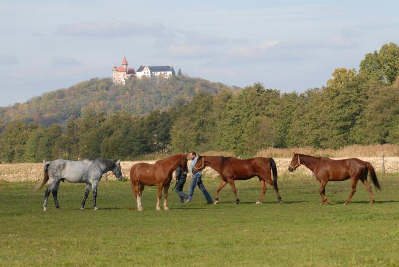 Land- und Aktivhotel Altmühlaue - Genel