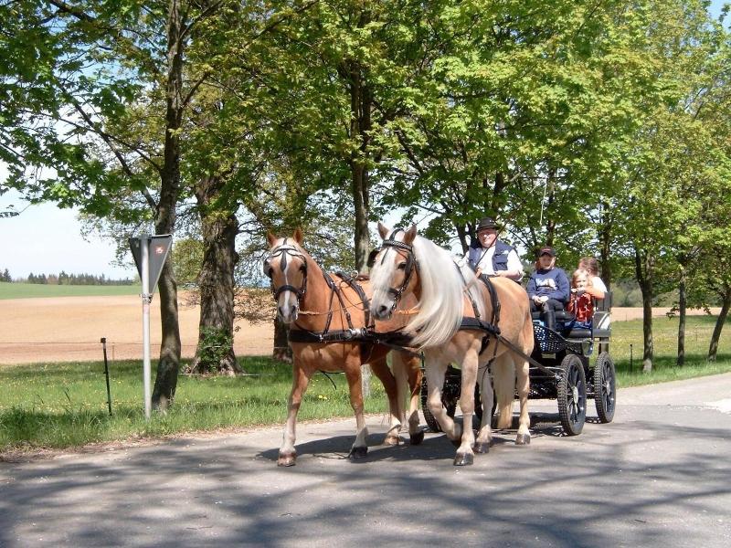 Gasthof Zur Post - Genel