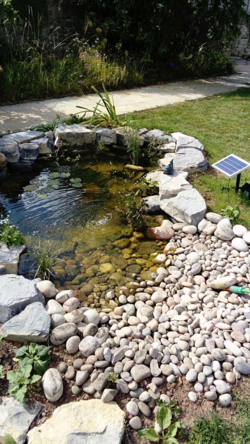 The School House - Genel