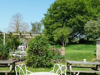 The Swan Inn fotoÄŸrafÄ±