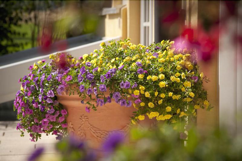Glasl's Landhotel - Genel