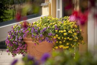 Glasl's Landhotel fotoÄŸrafÄ±