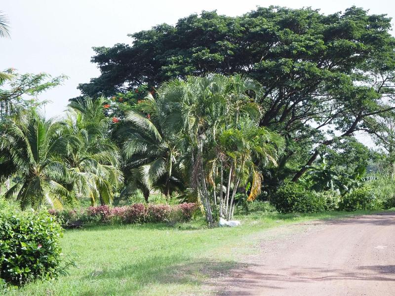 Goldenland Resort - Aktivite