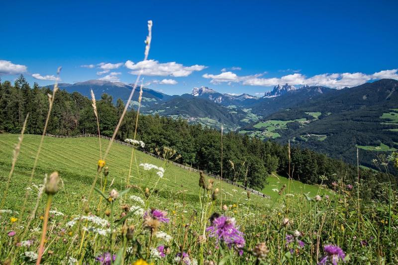 The Ansitz Steinbock - Genel