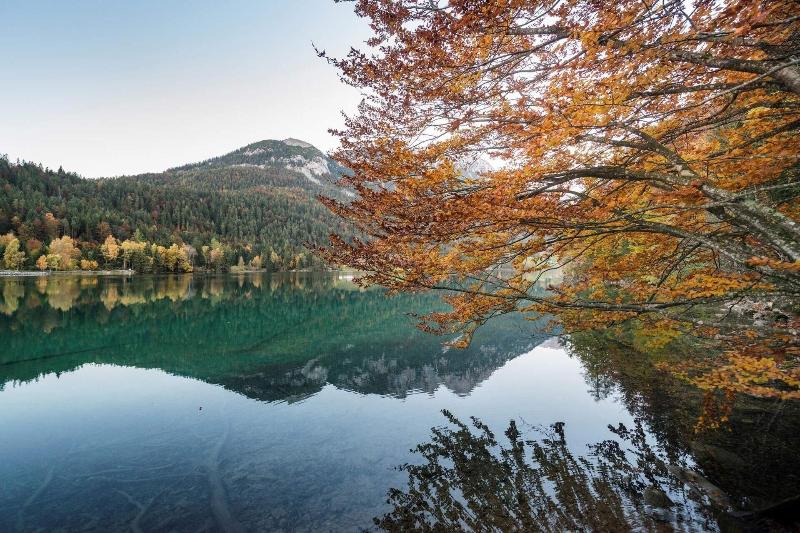 Tirol Lodge - Aktivite