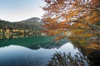 Tirol Lodge fotoÄŸrafÄ±