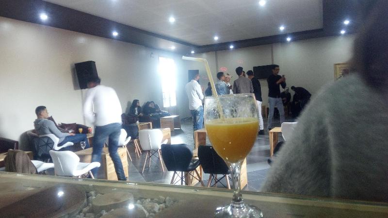 Green Cactus - Bar