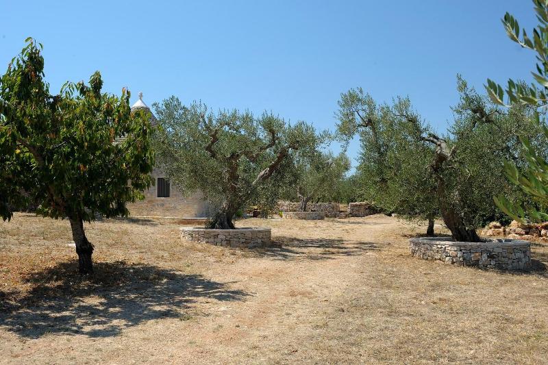 Trulli Barsento - Genel