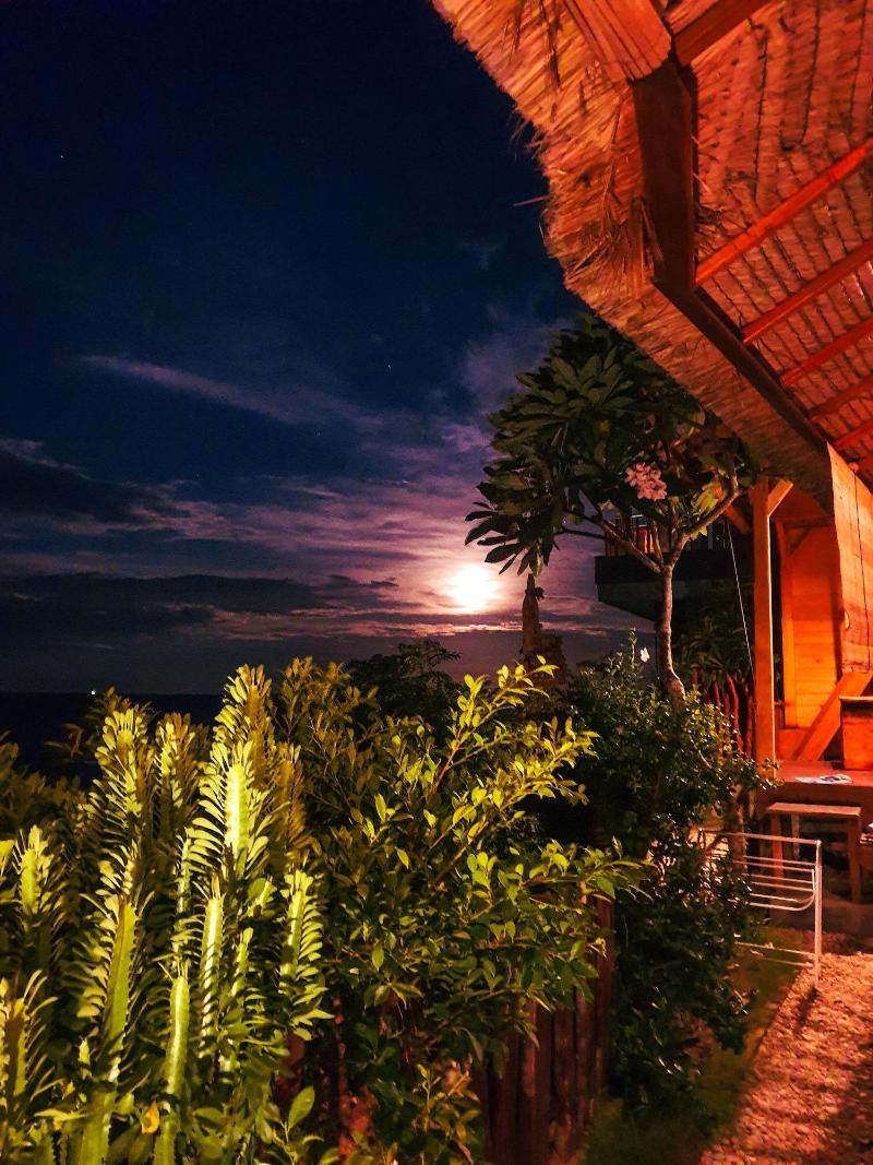 Malibu Huts - Genel