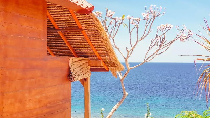 Malibu Huts - Genel