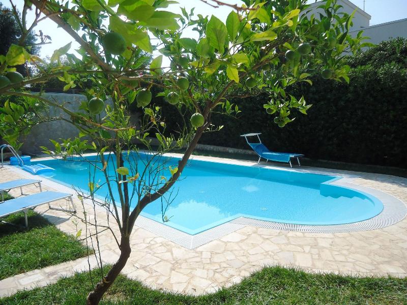 Villa Dafne - Aktivite