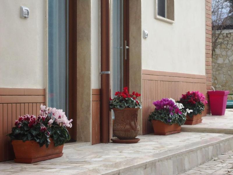 Villa Dafne - Genel