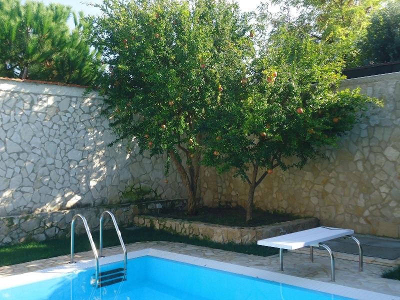 Villa Dafne - Oda