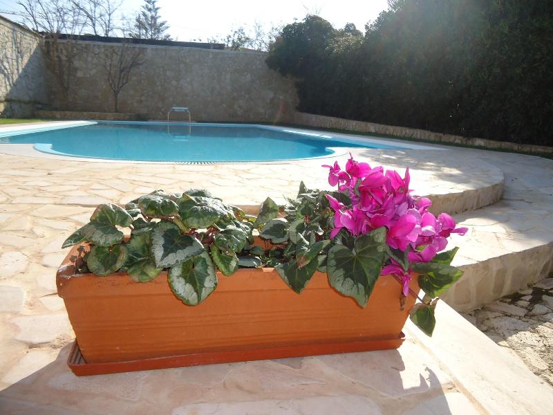 Villa Dafne - Oda