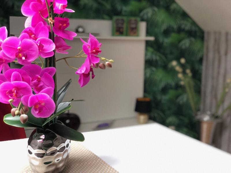 Mason Boutique Hotel - Oda