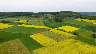 Hessen Hotelpark Hohenroda fotoÄŸrafÄ±