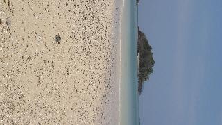Wasana Resort Ranong fotoÄŸrafÄ±