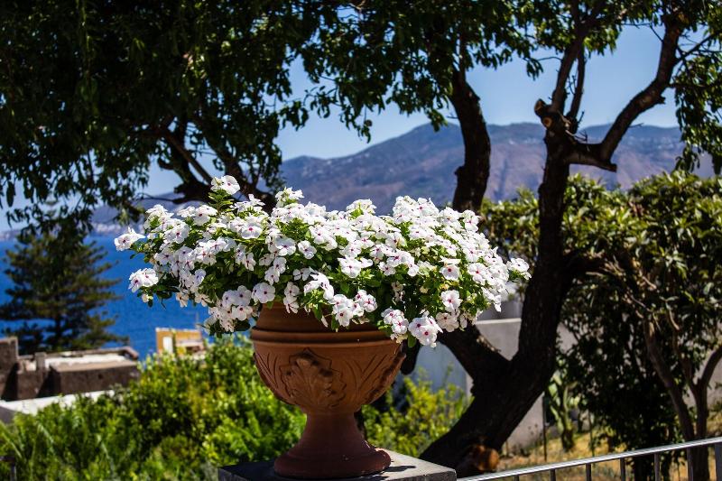 Hotel Arcangelo - Salina - Genel