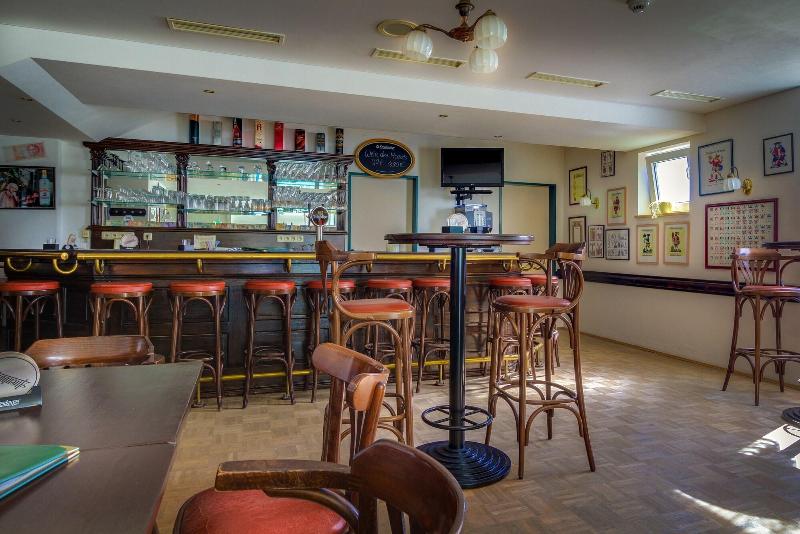 Hotel Astor In Altenburg - Bar