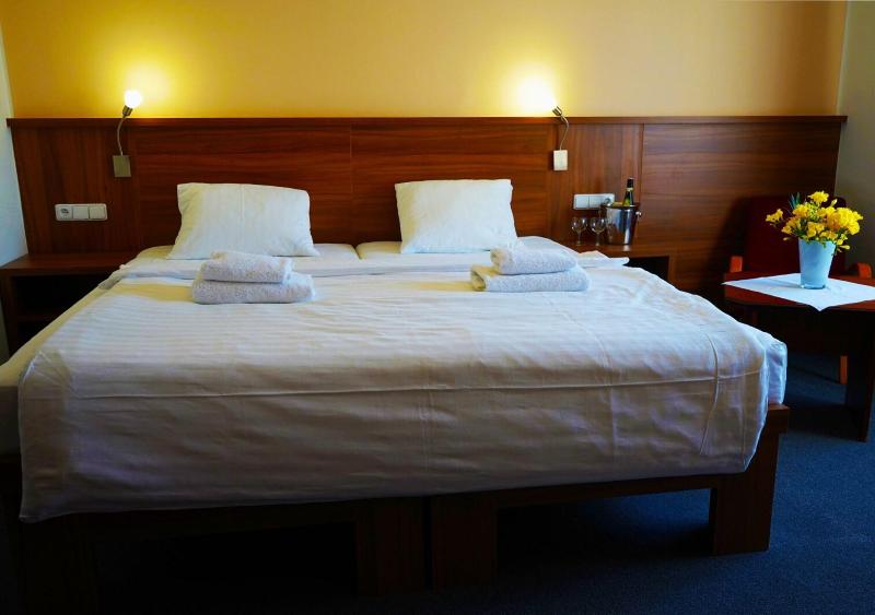Hotel Baltaci U Náhonu - Oda