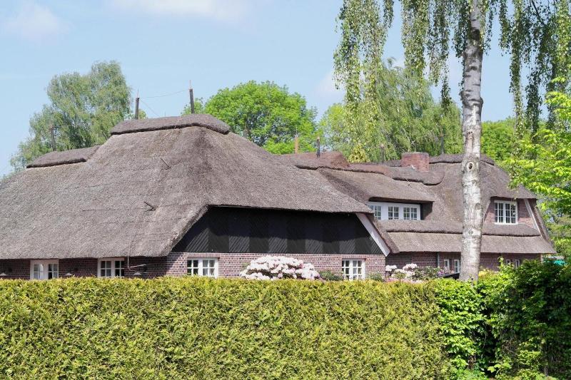 Hotel Blauer Fasan - Genel