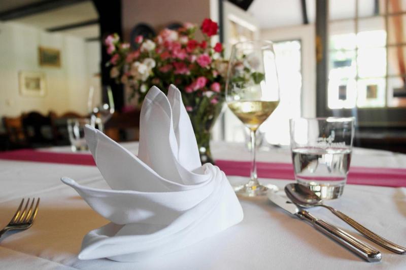 Hotel Blauer Fasan - Restoran