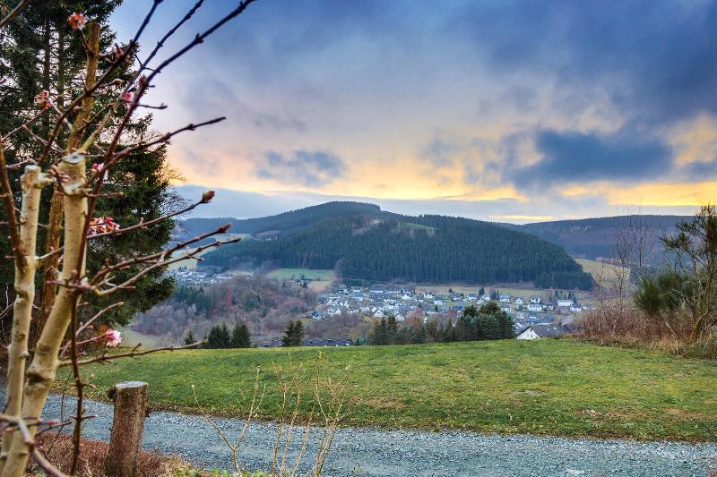 Panorama Hotel Winterberg - Oda