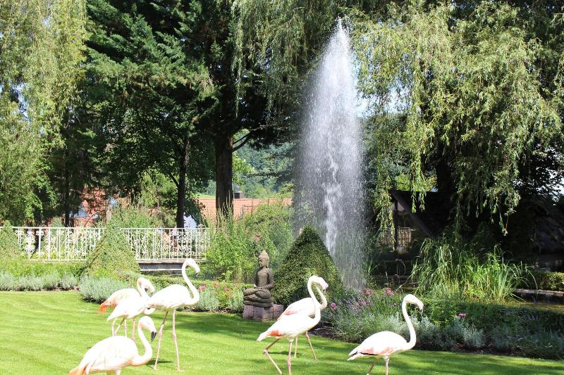 Parkhotel Krone - Genel