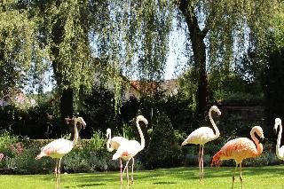 Parkhotel Krone fotoÄŸrafÄ±