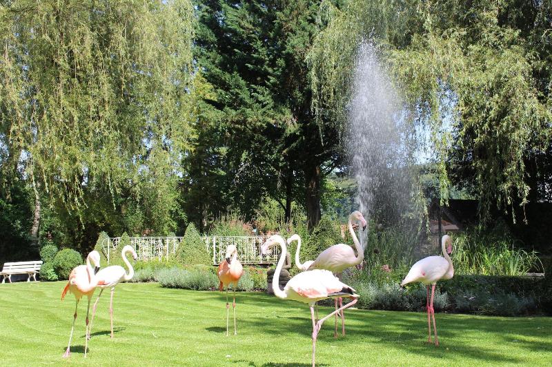 Parkhotel Krone - Genel