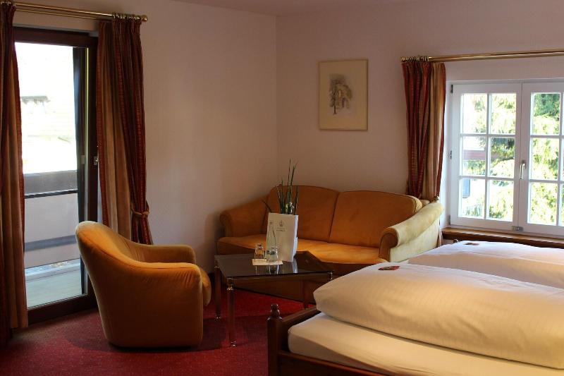 Parkhotel Krone - Oda