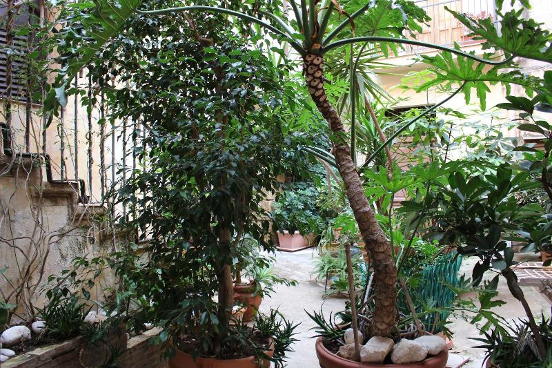 Bed & Breakfast Conte Perollo - Genel