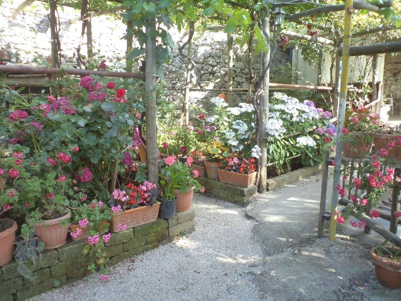 B&B Puntaferano - Genel