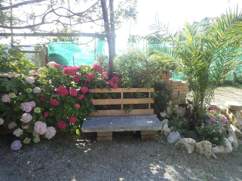 B&B Puntaferano - Genel