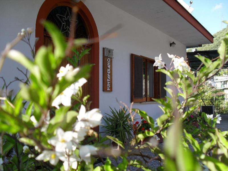 B&B Puntaferano - Genel