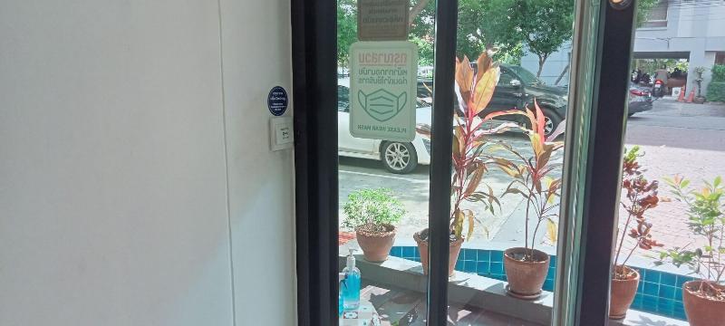 The Bangkok Cha Cha Suite - Genel