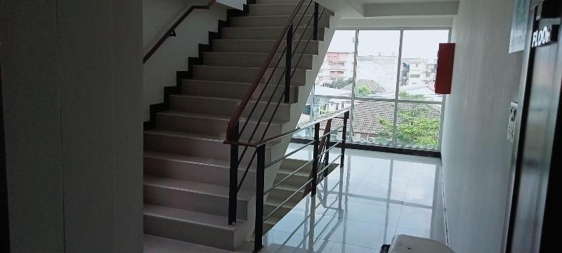The Bangkok Cha Cha Suite - Genel