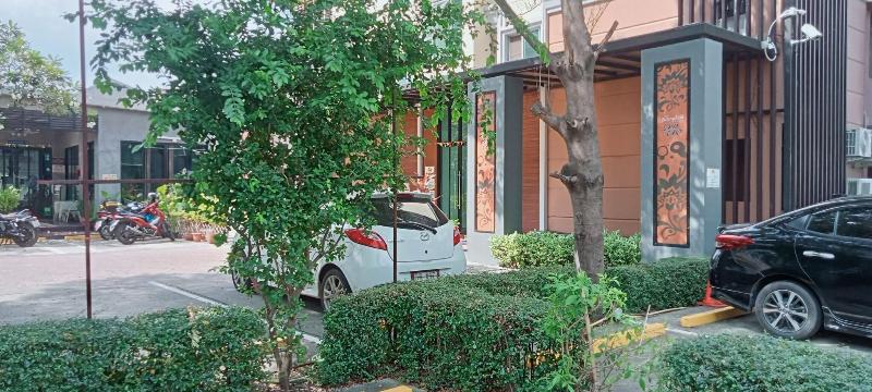 The Bangkok Cha Cha Suite - Genel
