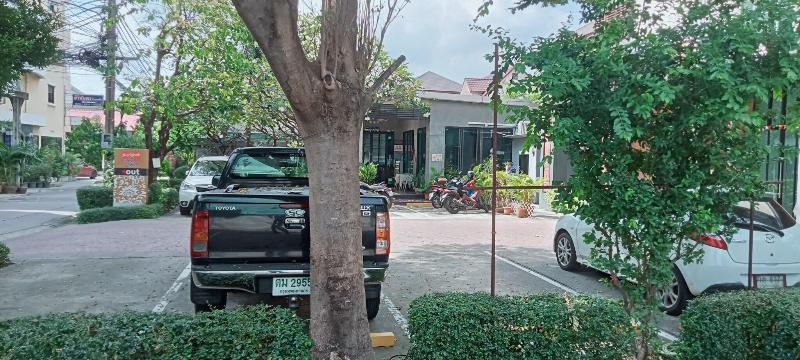 The Bangkok Cha Cha Suite - Genel