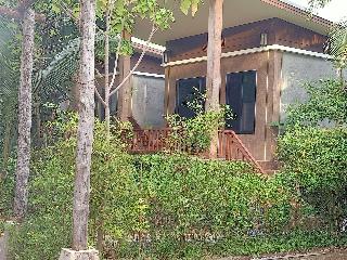 Lanta Pearl Beach Resort fotoÄŸrafÄ±