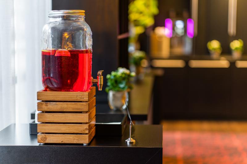 Tulip Inn Leiden Centre - Toplantı