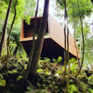 Caparica Azores Ecolodge otel fotoğrafı