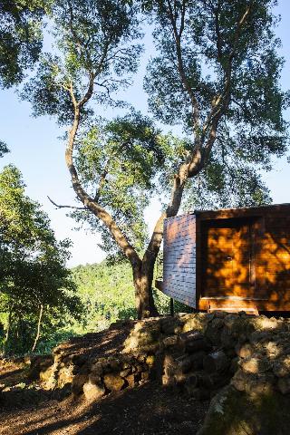 Caparica Azores Ecolodge fotoÄŸrafÄ±