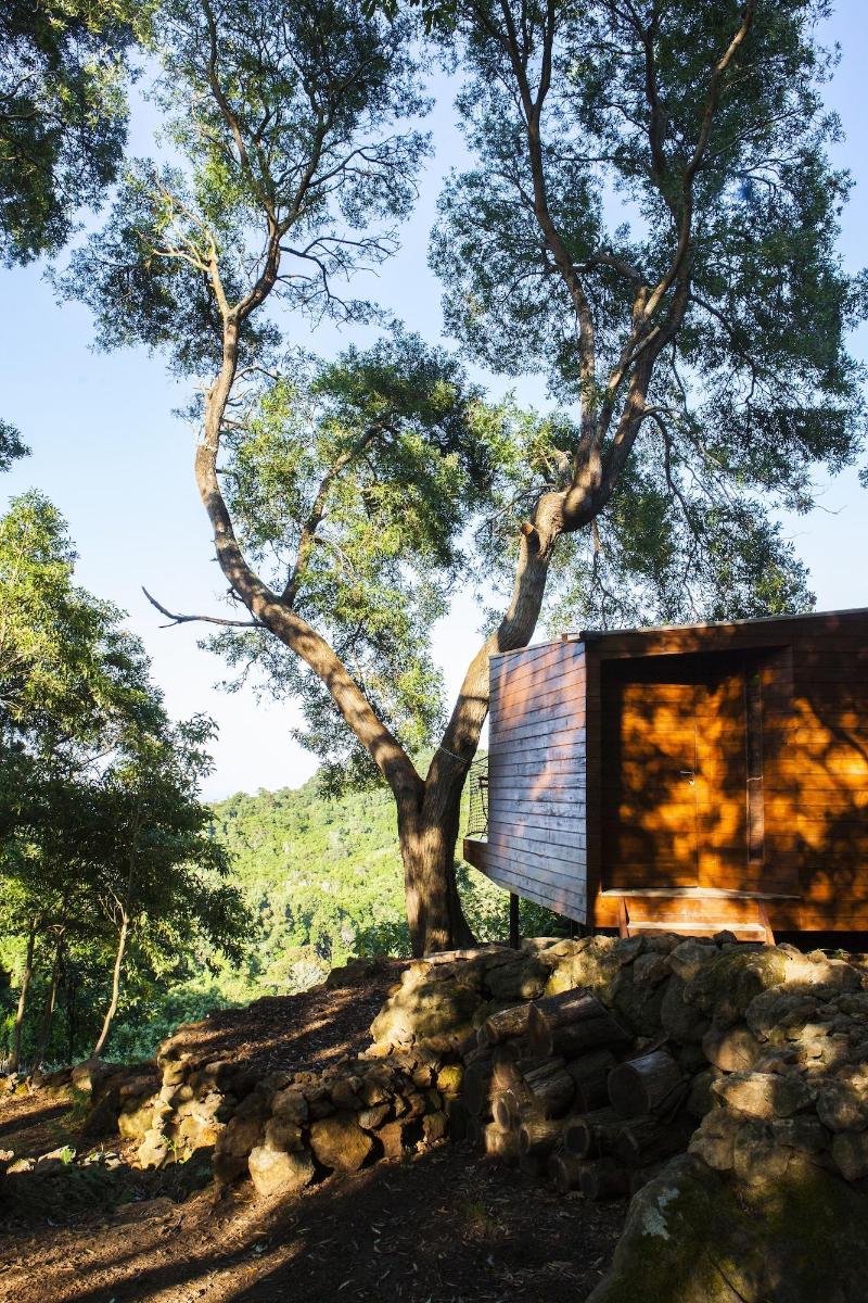 Caparica Azores Ecolodge - Genel