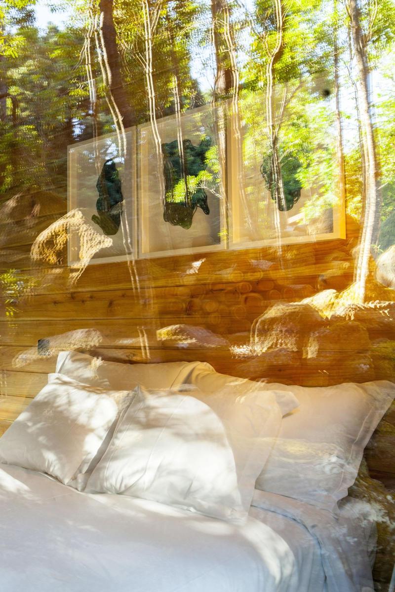 Caparica Azores Ecolodge - Oda