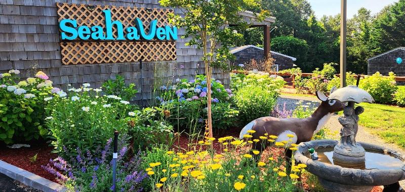 Sea Haven Resort Motel - Genel