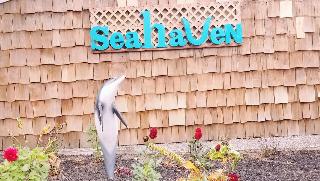 Sea Haven Resort Motel fotoÄŸrafÄ±